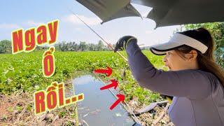 Tập 25 | Tạo điểm câu cá sông thiên nhiên kín lục bình | VY HAN FISHING