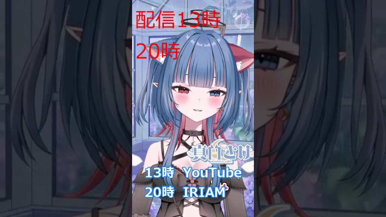 ㋈29日 今日の予定! #vtuber