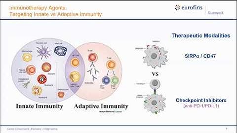 Establishing Qualified Bioassays for Checkpoint Receptors to Implement in QC Lot Release
