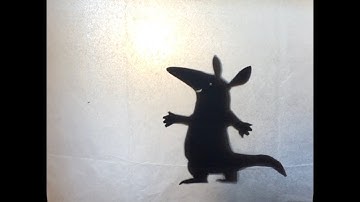 Shadow Puppet Tutorial
