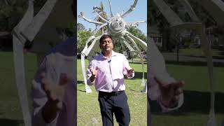 Ocala, FL Pros and Cons: Is it the Perfect Place for You?