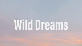 Burna Boy ft Khalid - Wild Dreams(lyrics)