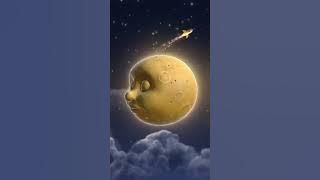 SamIam 10-13-25 6:41pm