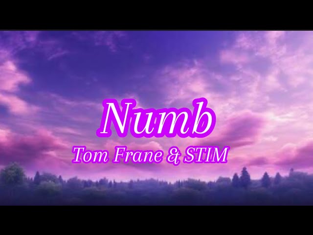 Tom Frane u0026 STIM Numb (lyrics) class=