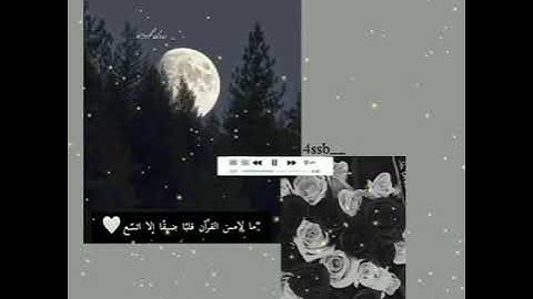 ما لامس القرآن قلباً ضيقاً  إلا اتسـع 🖤         سورة مريم                  مقطع قصير حالات قران