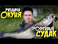 РАЗДАЧА ОКУНЯ! ТРОФЕЙНЫЙ СУДАК! ДЕСНА 2021. Открытие рыбалки с лодки.