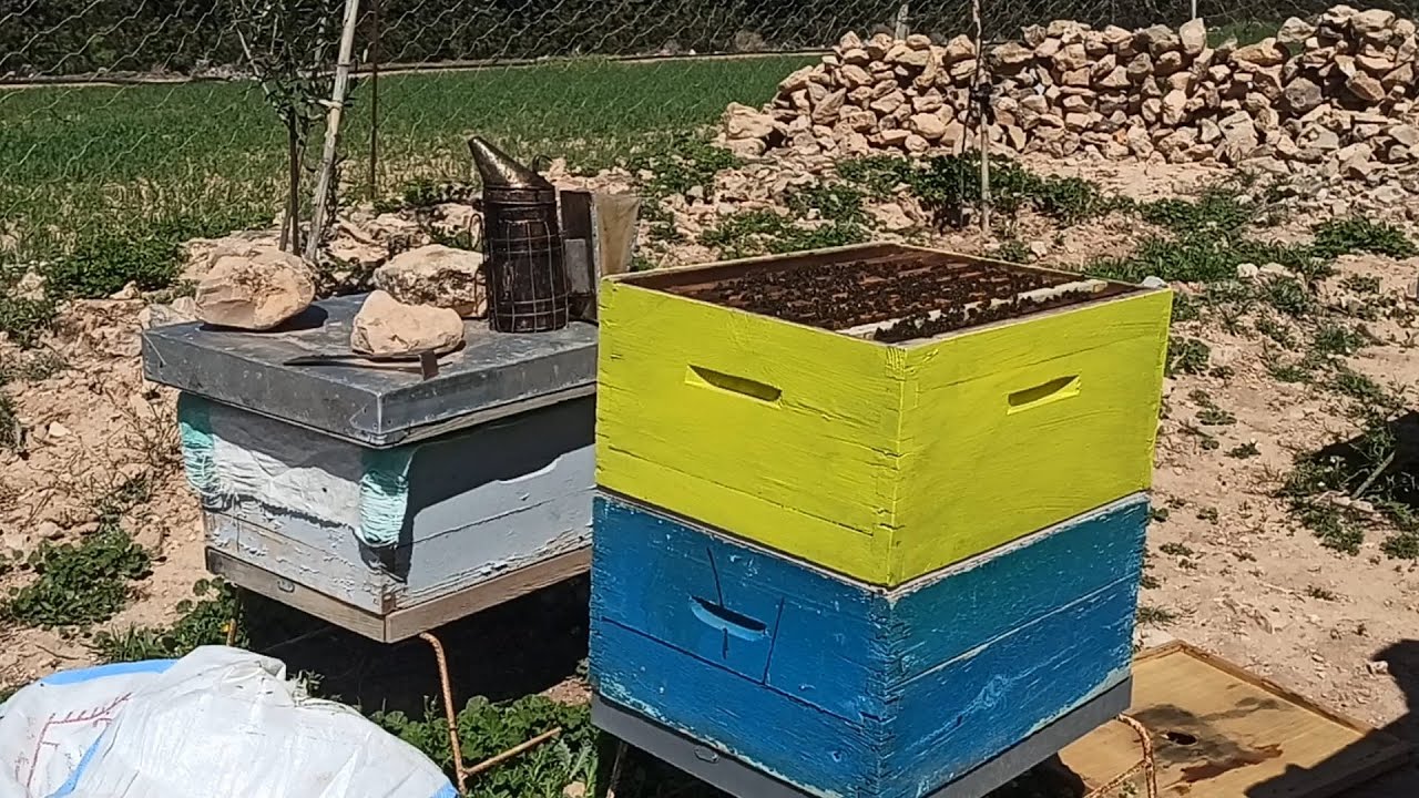 توضيح مهم بخصوص طريقة ديماري لمنع التطريد و جمع العسل