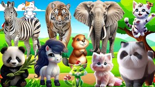 Wild Animal Sounds: Horse, Cow, Duck, Dog, Hen, Cat, Elephant,... | Animal Moments