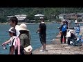 爆釣! サバ100匹釣れる! 堤防よりサビキ釣り 宇城市三角港 The fishing