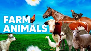 Cute Farm Animals - Dog, Cat, Cow, Chicken, Sheep, Goat, Pig, Horse... - Animal Videos