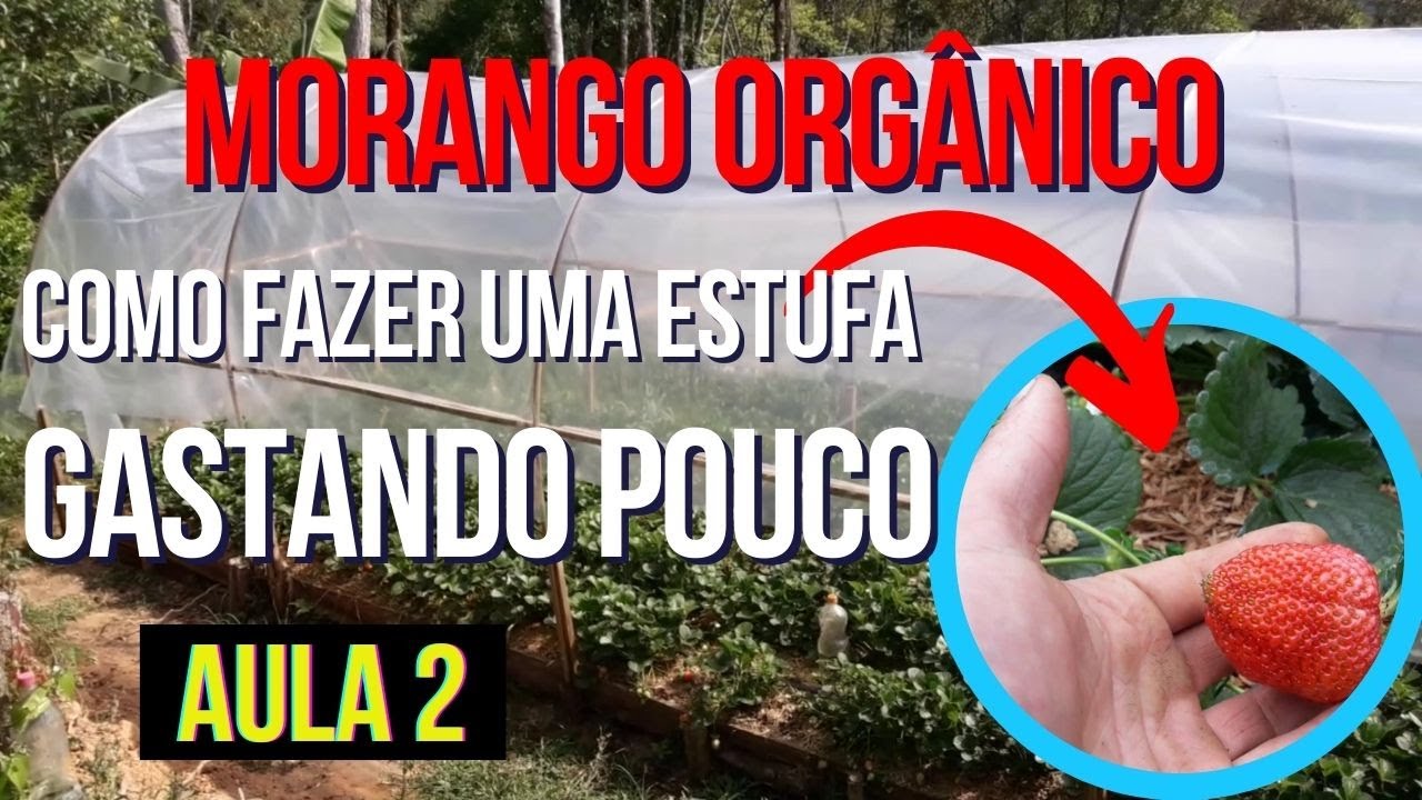 Como fazer Estufa para Morangos BAIXO CUSTO com cano de PVC e materiais acessíveis + COMO FIXAR LONA