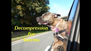 Decompression: The Key to Adoption Success