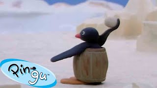 Pingu's Snowball Fight 🐧 | Pingu - Official Channel | Cartoons For Kids