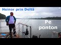 Hoinar prin Deltă. Pe ponton