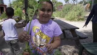 La Mesa Dale - TK in the garden