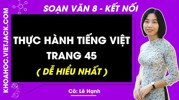 Soạn bài Thực hành tiếng việt trang 45, 46 | Ngữ văn 8 Kết nối tri thức | Bài 2 (DỄ HIỂU NHẤT)