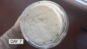 Sourdough Starter from Scratch - Step by step for 7 days