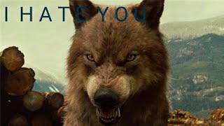 Twilight Wolves-I Hate You
