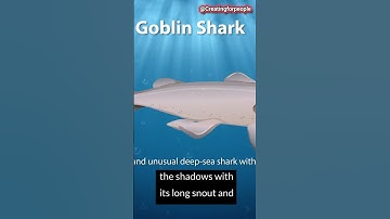 The Creepiest Creatures of the Deep Sea #sea #ocean #monster #creature #shorts #youtubeshorts