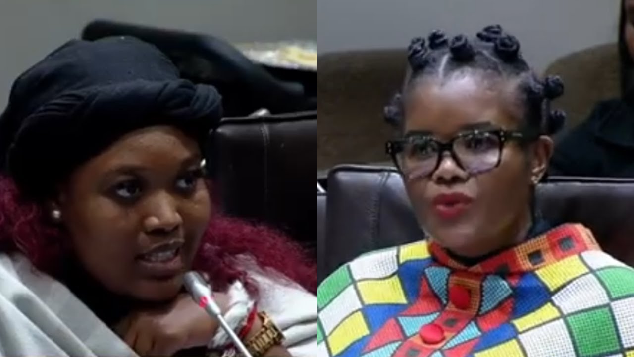 MP Khakhau vs Higher Education Minister "It's none of your business who advises me"