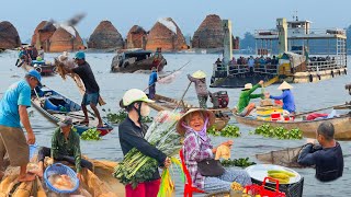 Thành Phố Vĩnh Long Bên Dòng Sông Cổ Chiên║100 Năm Làng Gạch Gốm Mang Thít