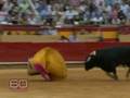 Deadly allure of bullfighting