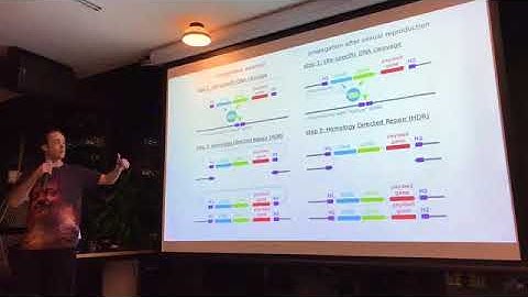 The Impact Of Exponential Technologies On Humanity Part 4 - Blackhat Transhumanism - Meow & Shanti