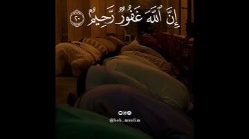 وَأَقِيمُوا الصَّلَاةَ وَآتُوا الزَّكَاةَ وَأَقْرِضُوا اللَّهَ قَرْضًا حَسَنًا/ تلاوة بصوت جميل جدا🎧