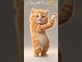 cat dance #cat #catshorts #catdance #cartoon #aivedio #funnyshorts #catvedio #stutas