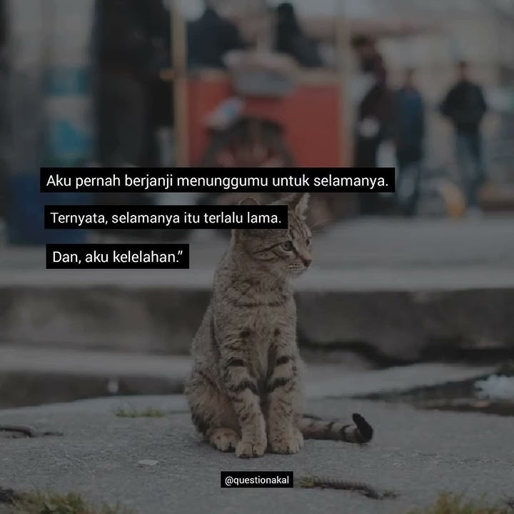 Story wa lagu bg haji rhoma irama/menunggu