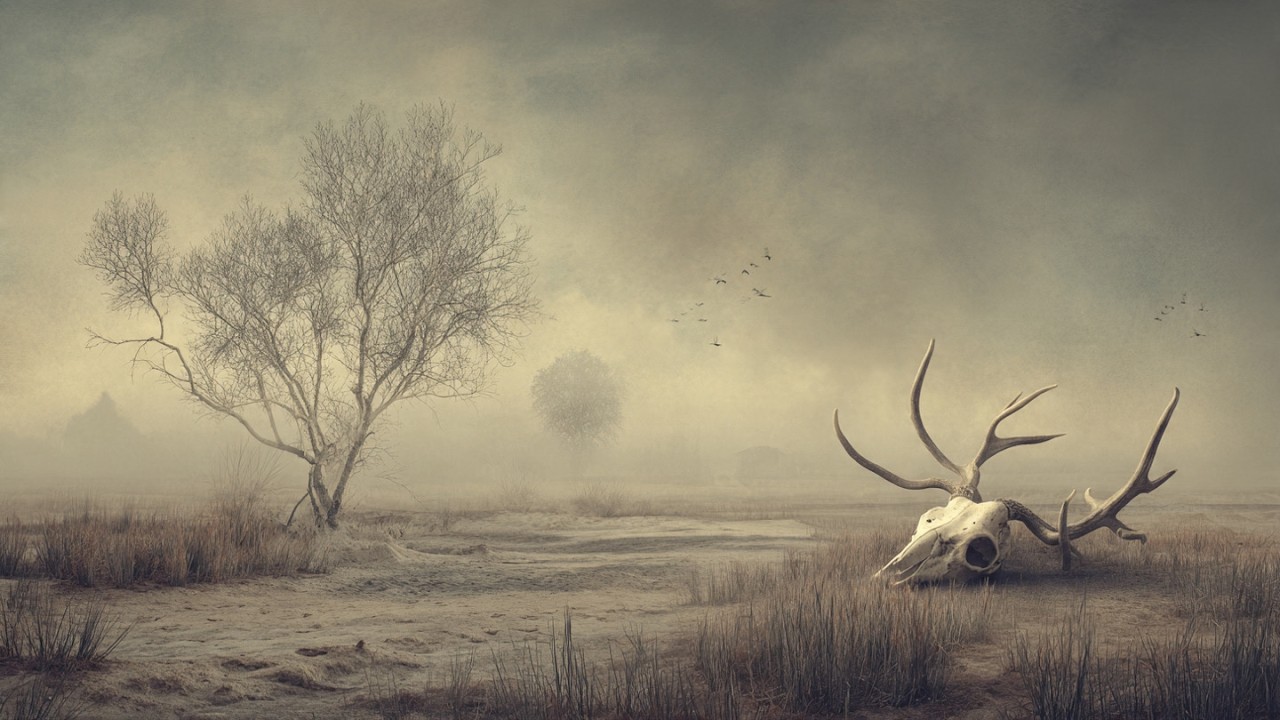 The Earth Forgot Its Heartbeat, Yet the Waltz Continued (Instrument No. 19)