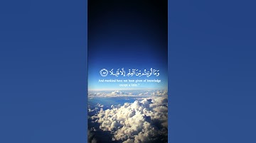 #ويسألونك عن الروح قل الروح من أمر ربي#تلاوة_خاشعة#القرآن_الكريم#راحة_نفسية#دعاء#سبحان_الله#اكسبلور