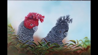 Ganggang cockatoo  In the wild and Painting cockatoos as art.
