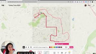 Getting Strava data into Felt