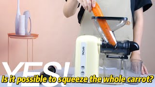SiFENE's dual feed chute slow juicer, the 2nd generation horizontal masticating juicer machine by SiFENE 168 views 1 year ago 29 seconds