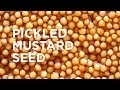 Pickled mustard seed