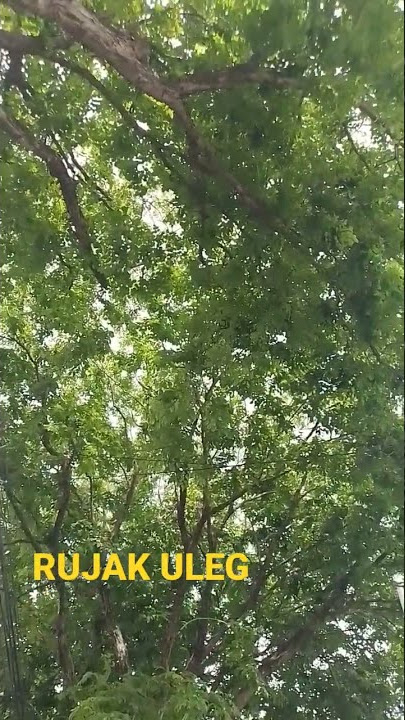 Waljinah - rujak uleg