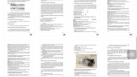 UPSC GS1 Mains 2022- colour coded warnings for cyclones, Q5