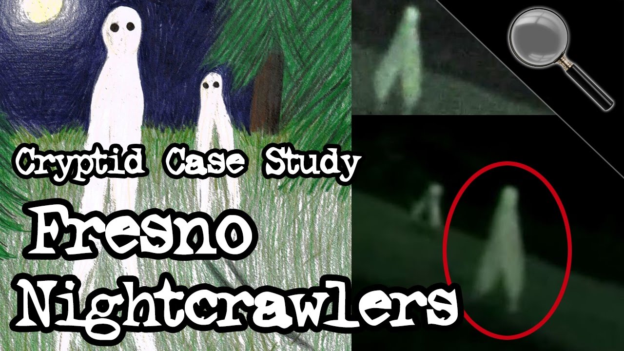 Fresno Nightcrawlers Cryptid Case Study YouTube fresno-nightcrawlers-cryptid-case-study-youtube
