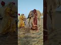 تقاليد زفاف صحراوية نادرة 🐪🥁 | جمال ثقافي مُبهر