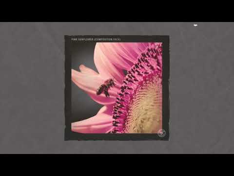 pelham-&-junior---pink-sunflower-vol.-1-sample-pack