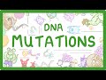 The Impact of DNA Mutations on Genes and Proteins