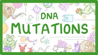 GCSE Biology - What are DNA Mutations? #67