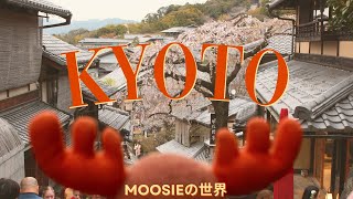 Kyoto: Discover Japan's Most Beautiful City, with Moosie! | Moosie's World