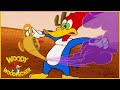 Woody Woodpecker Show | 1 Hour Non-Stop Woody Woodpecker Compilation | Cartoons For Children