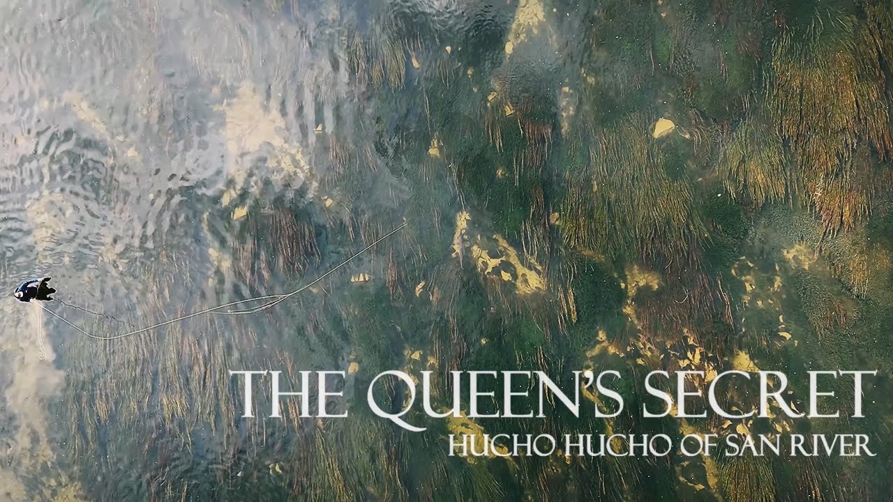 THE QUEEN’S SECRET-Hucho Hucho  of San river part I