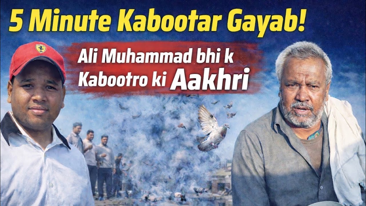 5 Minute Tak || Kabootar Gayab || Kabootaro ki Aakhri || Ali Muhammad bhai ne Dekhaya Shok || 