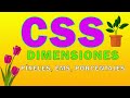 ✅💻DIMENSIONES en CSS: PIXELES, EMS, PORCENTAJES