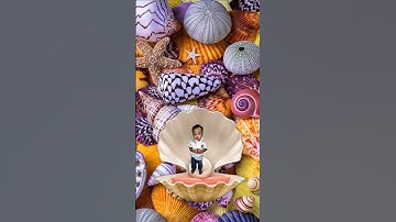 Amazing  Sea Shells #shorts #viral #trending #amazing #amazing #asmr #seashells