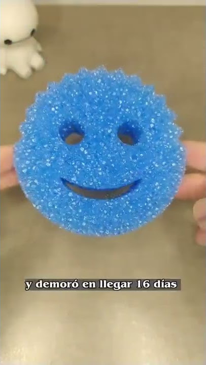 Choice of (6) Scrub Mommy & Scrub Daddy Puppy or Kitty Cleaning Sponge on  QVC 